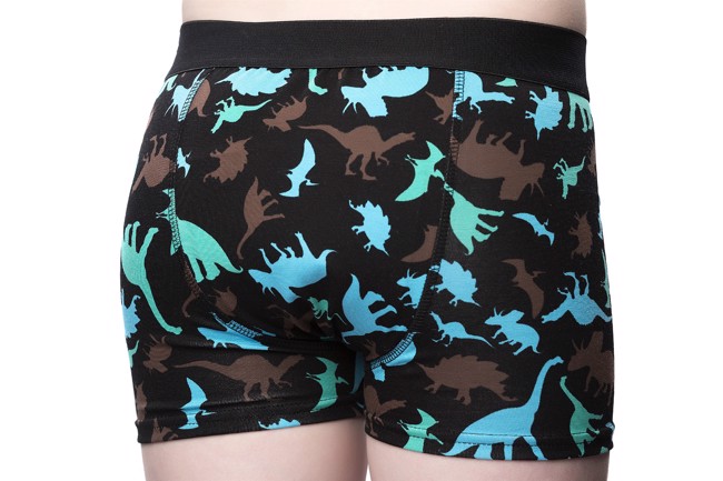 Pantaloni per bagnare il giorno Dino