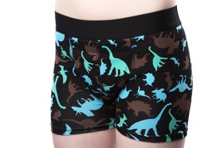 Pantaloni per bagnare il giorno Dino